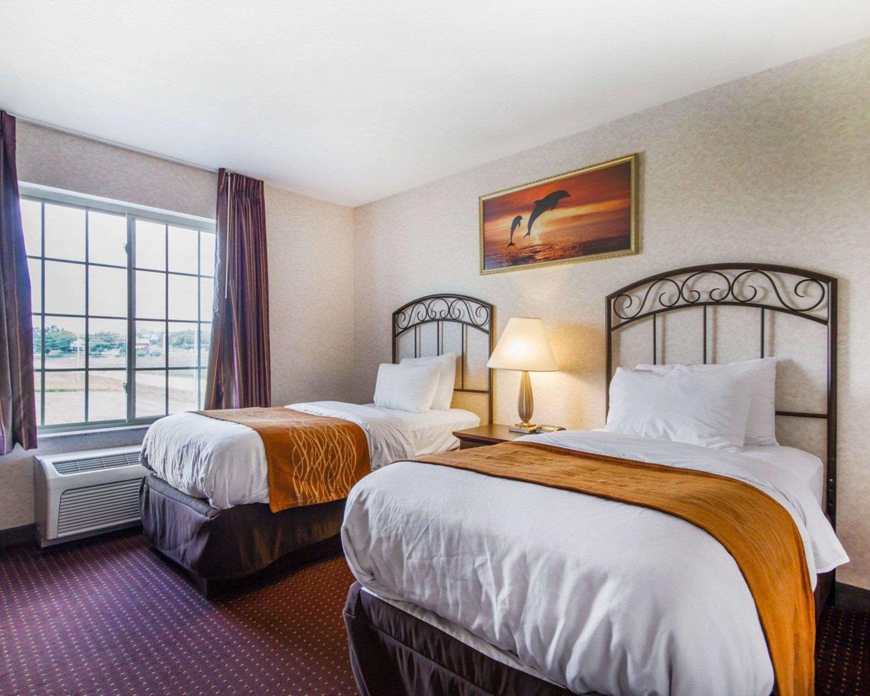 Comfort Inn & Suites Madison North Deforest Luaran gambar